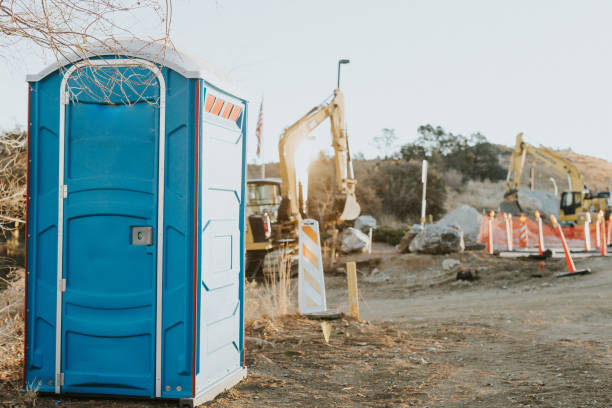 Best Sanitation services for porta potties  in The Homesteads, TX